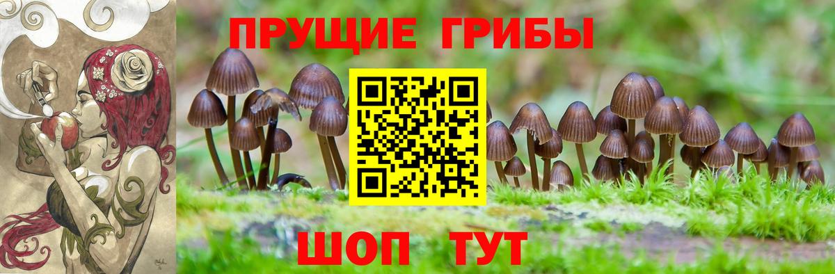 Псилоцибиновые грибы мицелий Новотроицк