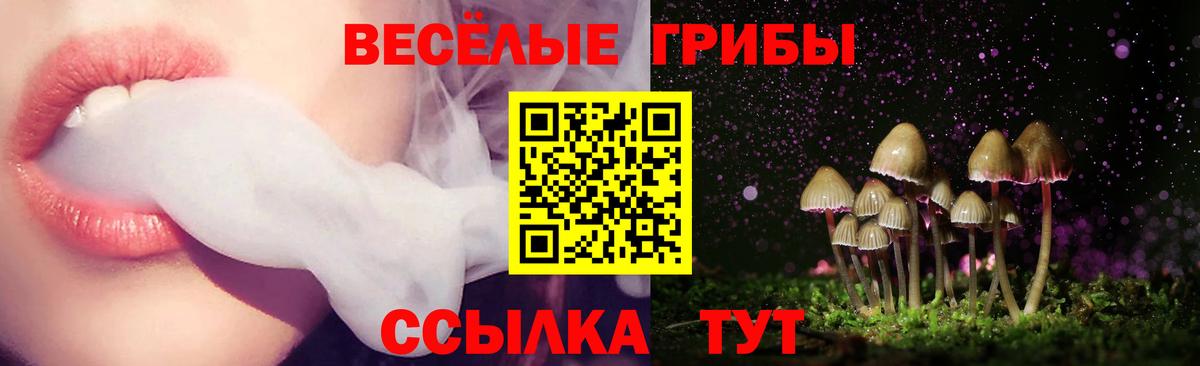 Псилоцибиновые грибы мухоморы  Псилоцибиновые грибы мицелий  Новотроицк  купить закладку  Вход с VPN 